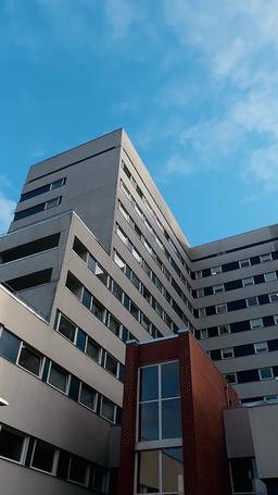 La tristezza non conosce confini episode 29