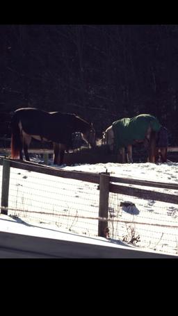 Christmas with a Prince: Becoming Royal episode 10