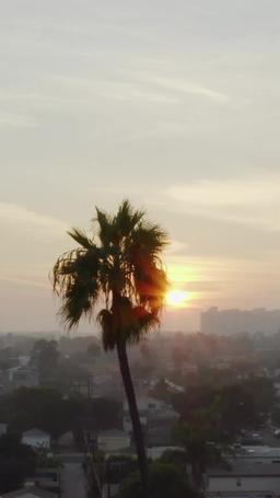 Finge Hasta Que Me Ames episode 31