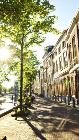 Anne Ağlama, Babam Çok Pişman episode 59