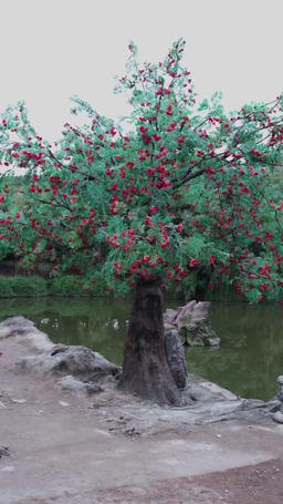 Oops! I Fooled the Evil into Being Good episode 20