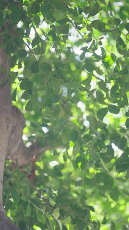 [吹き替え] エリート男子たちの手懐け方 episode 38