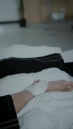 Lunar Companion episode 44