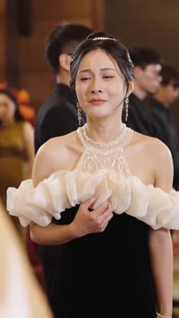 Il Mio Perfetto Genero episode 34