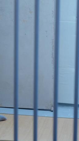 消防士の元夫、悔恨の炎に焼かれて episode 53