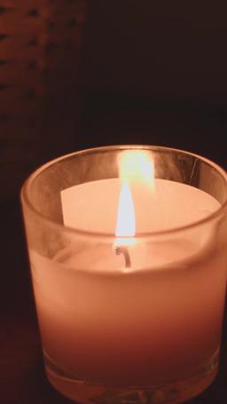 Comment apprivoiser le meilleur ami de mon père episode 65