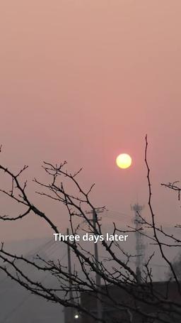 Goodbye, My Yesterday episode 25