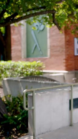 You Divorced a Genius Heiress episode 2