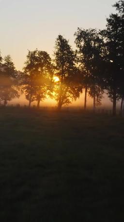 [Dublajlı] Alfa Kral ve Onun Bakire Gelini episode 5