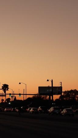 ¡Hola! ¿Casémonos? episode 39