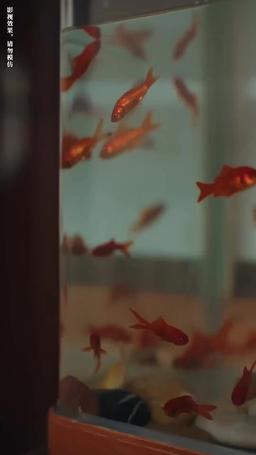 假如有人溫柔待我 episode 3