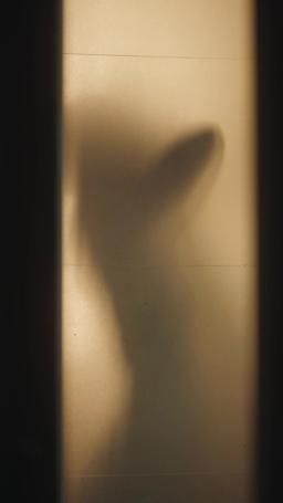 マフィアの花嫁 episode 30