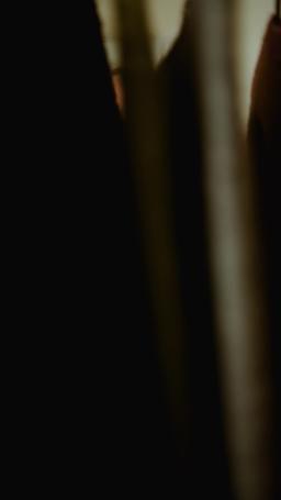 جميلة والخضوع episode 23