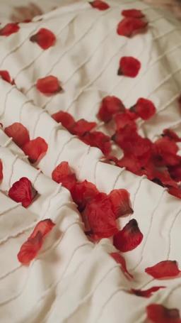 [dublado] O Bilionário Fugitivo se Tornou Meu Noivo episode 16