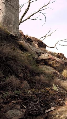 Scharfschütze im Schatten episode 1