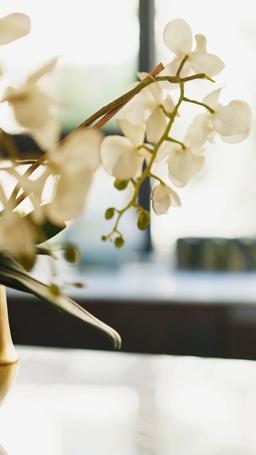 One Night Stand... To Forever (English-dubbed) episode 27