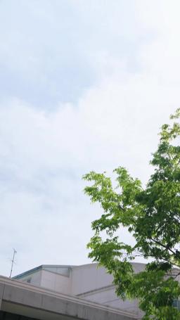 消防士の元夫、悔恨の炎に焼かれて episode 49