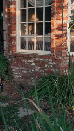 Chéri, s'il te plaît, rentre à la maison episode 38