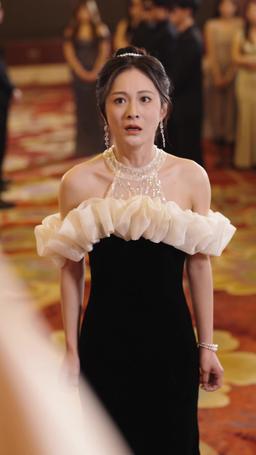 Il Mio Perfetto Genero episode 29