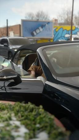 Беременна от миллиардера и испорчена им episode 25