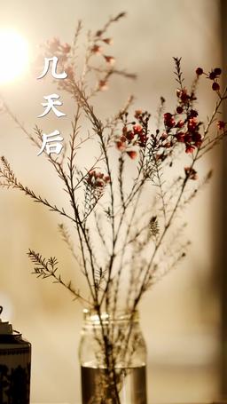 苦盡柑來小財星 episode 43