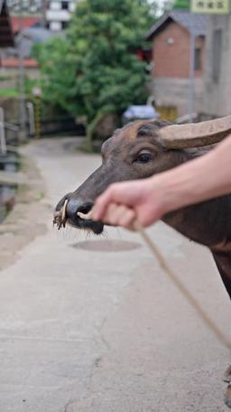 Kocam Gizli Bir Büyük Adam episode 3