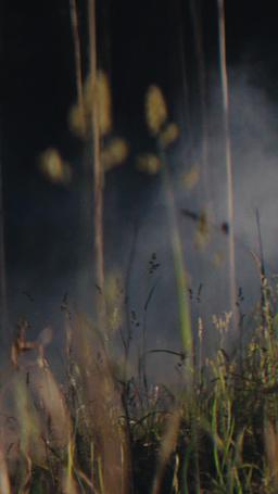 Sangue e Argento: L’Ascesa di Aurora episode 7