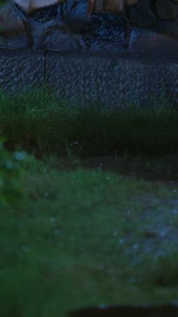 غدوتُ زهرة في كفّ الأمير episode 8