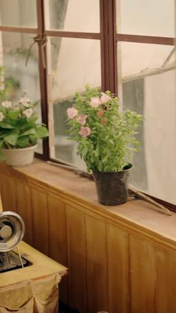 Fate Reborn: Switched to True Love episode 12