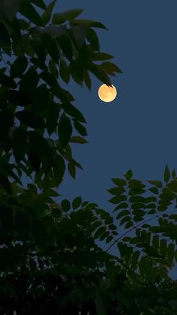 (พากย์) รักคุณเหมือนกับการเต้นของหัวใจ episode 2