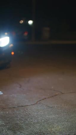 Comment apprivoiser le meilleur ami de mon père episode 5