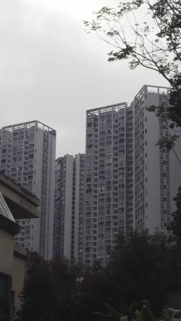 The Wife Isn't Me! episode 45