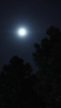 Wojowniczy Książę i jego skarb episode 31