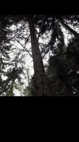 Complete Strangers episode 24