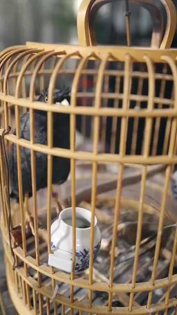 飢饉の村に花嫁がやってきた〜システムで始まる大逆転〜 episode 43