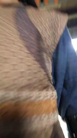 Survival Begins: I Own a System episode 1