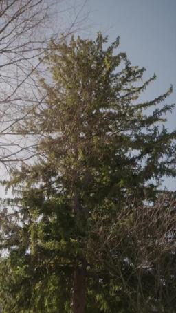 السرّ الذي قلب حياتي episode 62