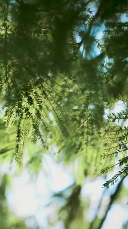 Goodbye, My Yesterday episode 29