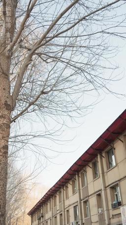 Master Penipu: Keahlian di Meja Judi episode 75