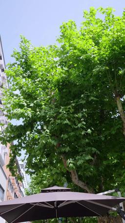 Daddy, You Passed! Time for Hugs! episode 11