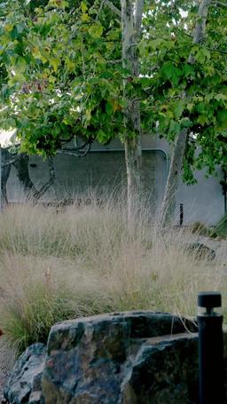 Un incontro predestinato episode 54