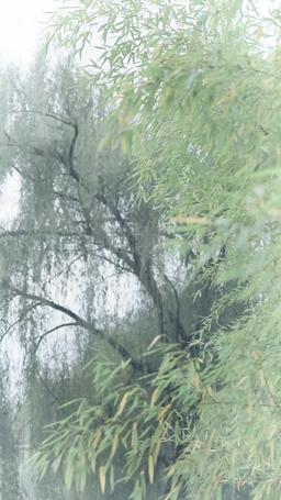 Dragon Crisis! My Turn to Shine! episode 66