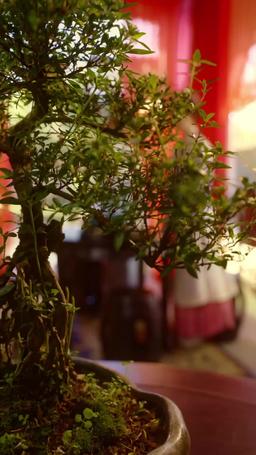 Drugi Sezon: Światło Nieba episode 20