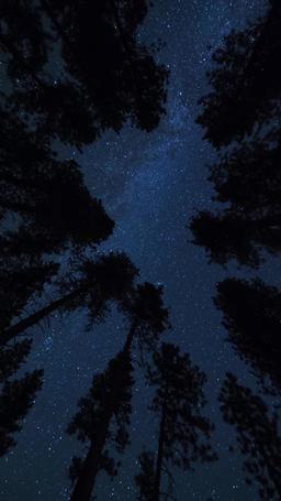 Diambil oleh Alpha yang Kubenci episode 12