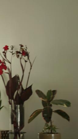 운명 같은 너 episode 77