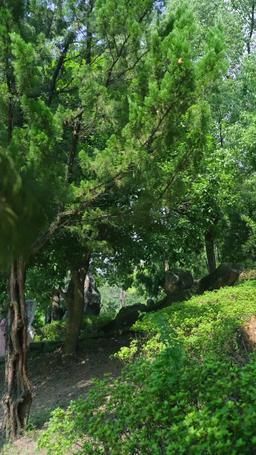 (พากย์) ข้าเป็นยอดดวงใจท่านอ๋อง แล้วองค์รัชทายาทจะเสียใจทำไม episode 56