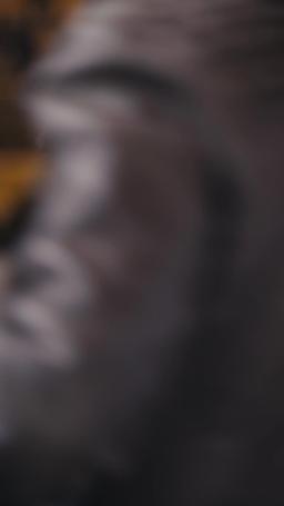 Pollo Frito, Matrimonio por Sorpresa episode 56