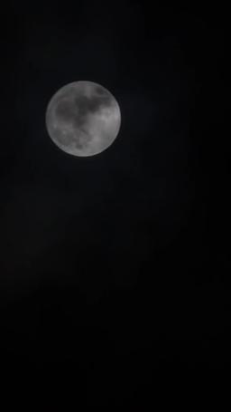 復讐の令嬢は二度と愛さない ～今さら兄が泣きついても遅すぎる～ episode 37