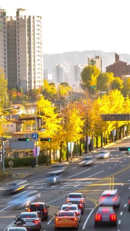 Złapać gwiazdy w późniejszej porze episode 34