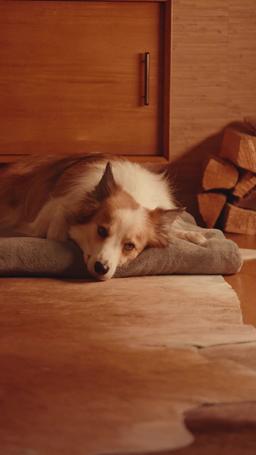 Reconquérir l'Amour par la Cuisine episode 10